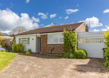 Thumbnail Detached bungalow to rent in Sun Hill Crescent, Alresford, Hampshire