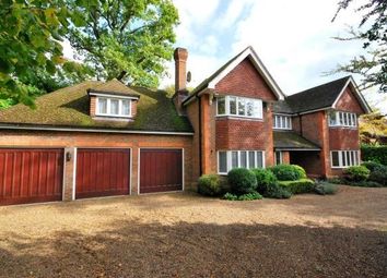 Thumbnail Property to rent in 18 Woodside Road, Cobham
