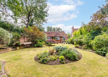 Thumbnail Detached house for sale in Bridge Road, Welwyn Garden City, Hertfordshire