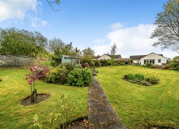 Thumbnail Detached bungalow for sale in Marshwood, Bridport
