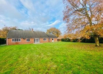Thumbnail 3 bed bungalow to rent in Wood Lane Aldeby, Beccles