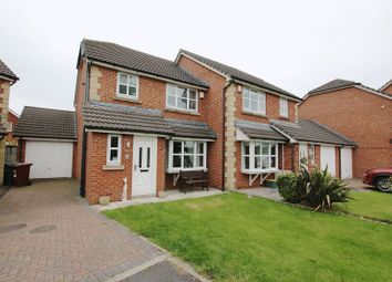 3 Bedroom Semi-detached house for rent