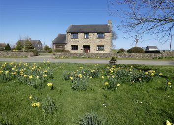 Thumbnail Detached house for sale in Draw Well House, Cornsay Village, Durham