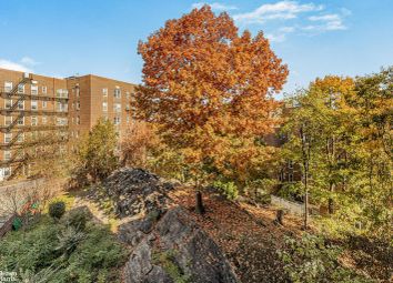 Thumbnail 1 bed apartment for sale in Netherland Avenue 4B In Riverdale, Riverdale, New York, United States Of America