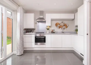 Showhome Photography