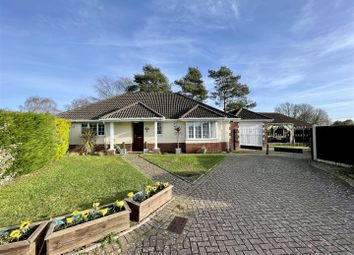 Thumbnail Detached bungalow for sale in St. Martins Road, Upton, Poole