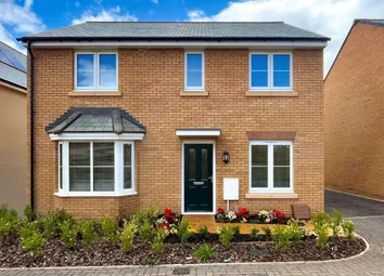 Come And Take A Look Around Our Manford View Home