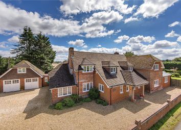 Thumbnail Detached house for sale in Popham, Micheldever, Winchester, Hampshire