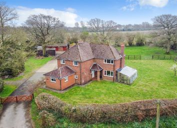 Thumbnail Equestrian property for sale in Paddlesworth, Folkestone