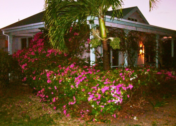 Thumbnail 1 bed detached house for sale in Cedar Valley Springs, St Johns, Antigua And Barbuda