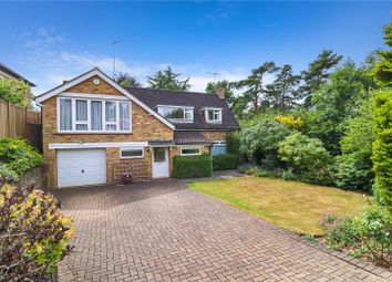Thumbnail Detached house for sale in Devereux Drive, Watford