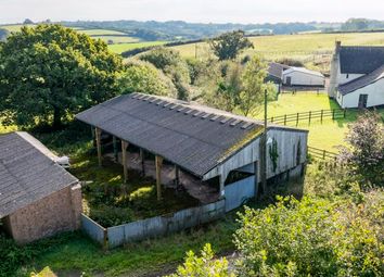 Thumbnail Barn conversion for sale in Black Dog, Crediton