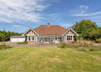 Thumbnail 4 bed bungalow for sale in Alton Road, Winslade, Basingstoke, Hampshire