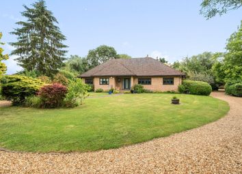 Thumbnail Bungalow for sale in Hookhams Lane, Renhold, Bedford