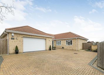 Thumbnail Detached bungalow for sale in West Street, Isleham, Ely