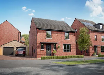 Winterton Plot 98