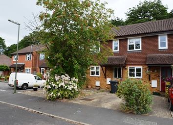 2 Bedrooms  to rent in Woodpeckers, Milford, Godalming GU8