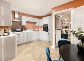 Showhome Photography