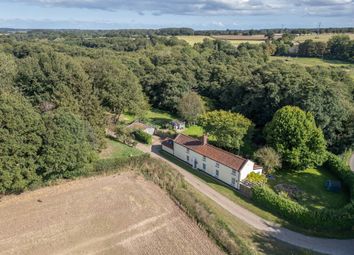 Thumbnail Detached house for sale in Star Lane, Rockland St. Mary, Norwich