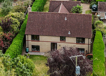 Thumbnail Detached house for sale in The Street, Ashen