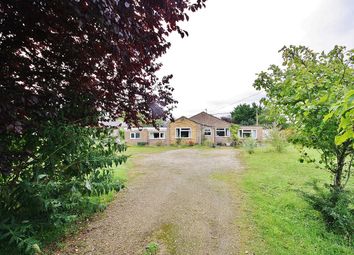 Thumbnail Bungalow for sale in Brize Norton Road, Minster Lovell