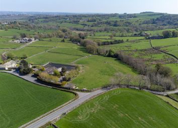 Mill Lane Farm (11 Of 21).Jpg
