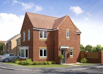 Thumbnail 3 bedroom detached house for sale in "The Weaver" at Off Brenda Road, Hartlepool, County Durham