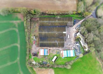 Thumbnail Warehouse for sale in Pebmarsh, Halstead