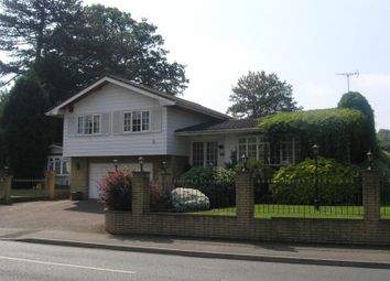Picture No.10
