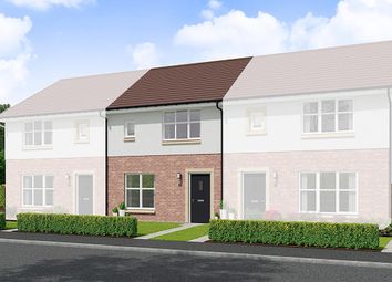 Thumbnail 3 bedroom terraced house for sale in "Berwick" at Cherrytree Gardens, Bishopton