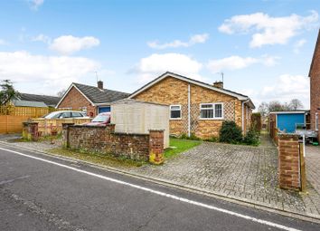 Thumbnail Detached bungalow for sale in Holly Walk, Andover