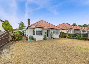 Property listing in Norwich, Norfolk