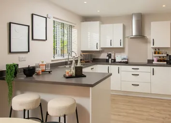 Lilac Kitchen