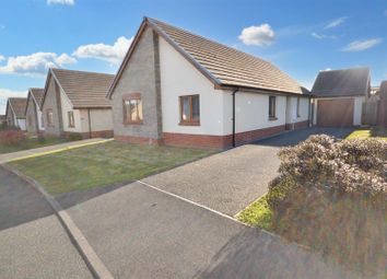 Narberth - Detached bungalow for sale           ...