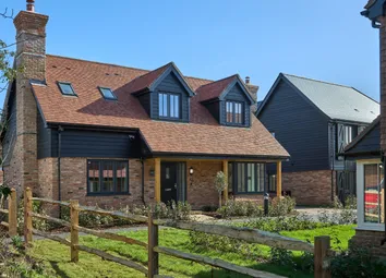 72 Whitebeam