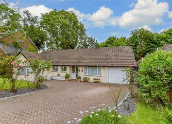 Thumbnail 4 bed detached bungalow for sale in Ship Street, East Grinstead, West Sussex