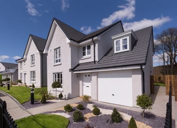Thumbnail 4 bedroom detached house for sale in "Drummond" at River Don Crescent, Bucksburn, Aberdeen