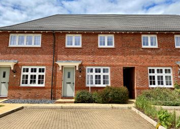 Thumbnail Terraced house to rent in Hawkins Road, Exeter