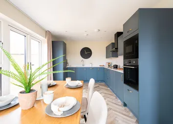 Open Plan For Cooking And Eating