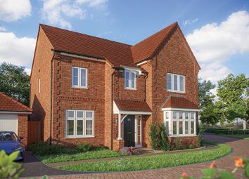 Thumbnail Detached house for sale in "The Birch" at Driver Way, Wellingborough