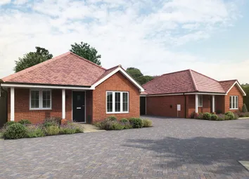 Wivenhoe Gardens, Wivenhoe