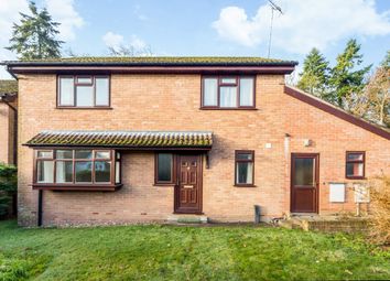 Thumbnail Detached house to rent in Normandy Way, Fordingbridge