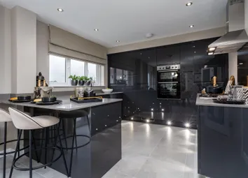 Showhome Photography