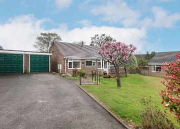 Property listing in Matlock, Derbyshire