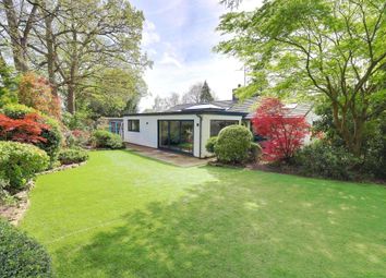 Thumbnail Detached bungalow for sale in Scholars Close, Caversham Heights