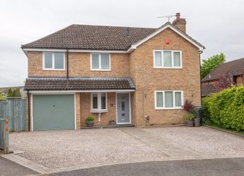 Thumbnail Detached house for sale in Mill Way, Totton, Southampton
