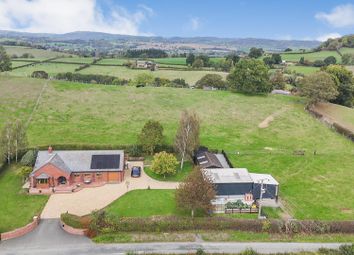 Dji_Fly_20250929_124456_0_1759146296934_Photo_Low_