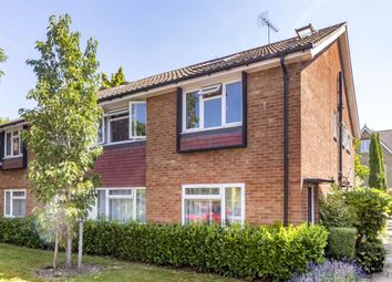 Thumbnail 3 bed flat for sale in Percy Road, Hampton