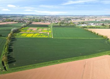 Thumbnail Land for sale in Lot 1 - Hall Marsh Farm, Long Sutton, Spalding, Lincolnshire