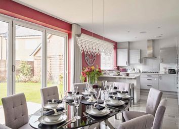 Thumbnail Detached house for sale in "Alder" at Marigold Place, Stafford